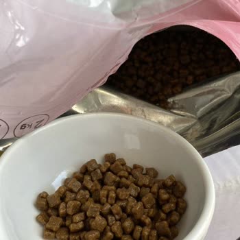 Royal Canin Royalcanin Kitten İshal Yaptı Firma Yardımcı Olmuyor