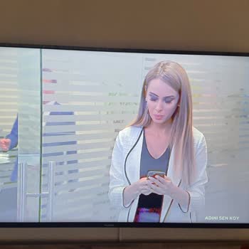 Vestel Hı Level 55 Arızalı Ürün