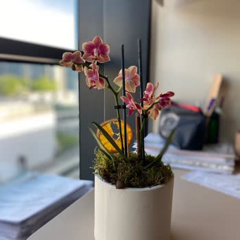 Heryerbitki.com Hiç Memnun Kalmadım