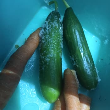 Bosch Tamir Edilemeyen Buzdolabı