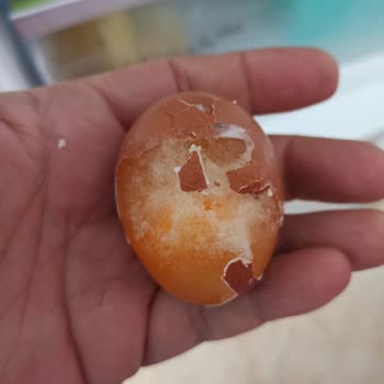 Bosch Tamir Edilemeyen Buzdolabı