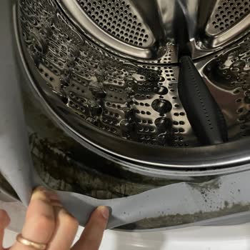 LG Çamaşır Makinesi Körük Lastiği Küflenmesi
