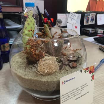 ÇiçekSepeti Çiçek Sepetinden Gelen Çiçek Görselle Uyumsuz Ve Arkasında Duran Yok.