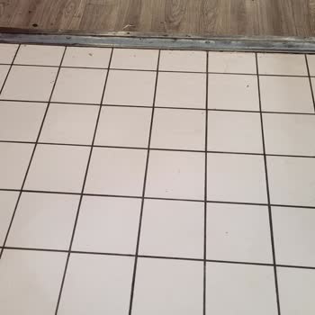 Samsung S20 Fe Sarı Fotoğraf Çekiyor