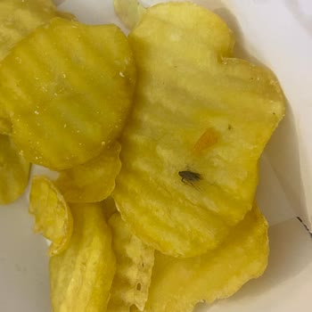 McDonald's Siparişimden Kızarmış Böcek Çıktı