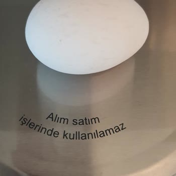 Bakyum Yumurta Ve Gıda Denetleme Sorunu