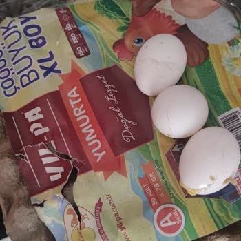 Peynirci Baba Çiğ Sütün Yarısı Su Ve Yumurtaları Kırık