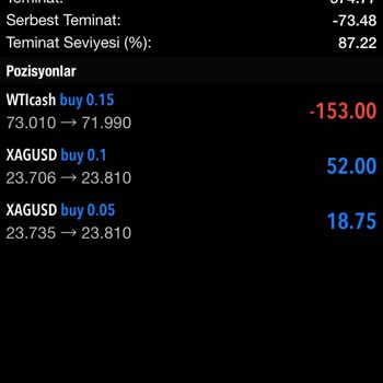 VisaFx Visa Fx Financial