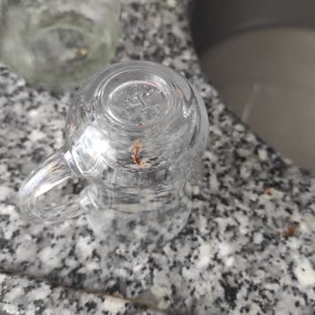 Bosch Marka Bulaşık Makinesi Bulaşıklarımı Kirli Çıkarıyor.