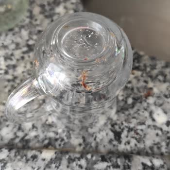 Bosh Dishwasher Won't Clean The Dishes, Leaves Them Dirty