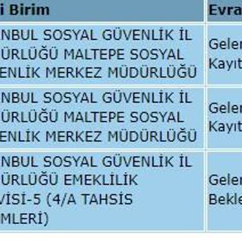 SGK Maltepe Emeklilik Başvurusu 3.3.2023 - Beklemede