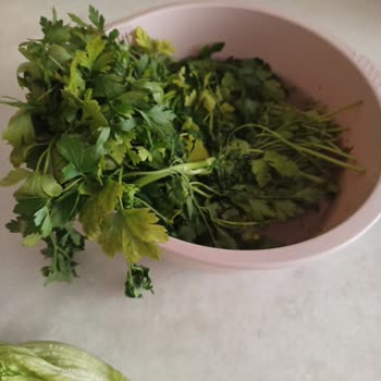 Besinleri Bozup Çürüten Bosch