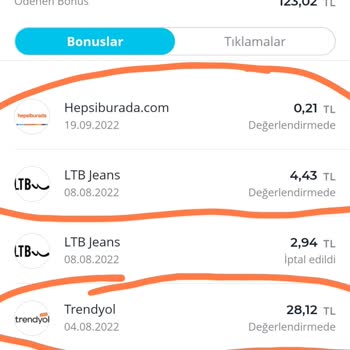 Artiway Bonus Problemi