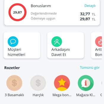 Artiway Bonus Problemi