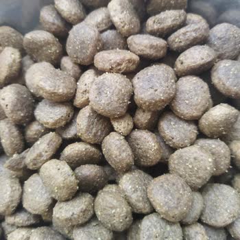 Petzzshop Pettzshop Üzerinden Alınan Köpek Maması