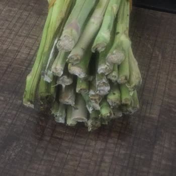 aydinenginar.com Çürük Kuşkonmaz Gönderildi.