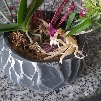 ÇiçekSepeti Solmuş Çiçek Teslimatı