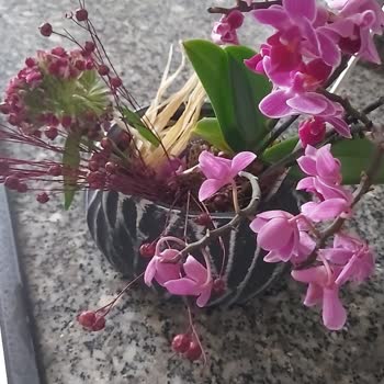 ÇiçekSepeti Solmuş Çiçek Teslimatı