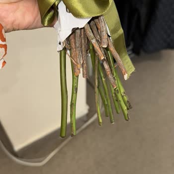 Osevio.com Kötü Buket-Geç Teslimat-Sadece Laf Üreten Müşteri İlişkiler