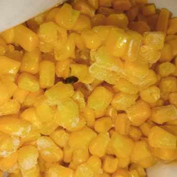 BİM Mısır Dan Sinek Çıktı