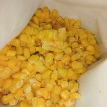 BİM Mısır Dan Sinek Çıktı