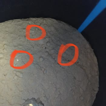 Supplementler Protein Tozunun İçindeki Yabancı Madde