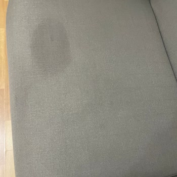 Bellona Palvin Koltuk İz Bırakıyor