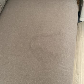 Bellona Palvin Koltuk İz Bırakıyor