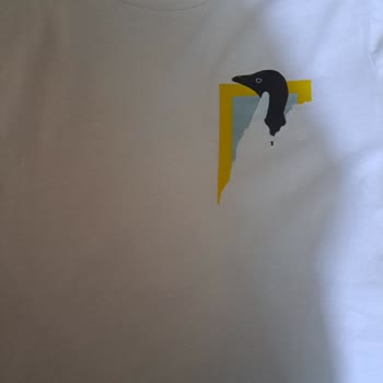 Boyner National Geographıc T-shirt İlk Yıkamada Baskısı Soyuldu!