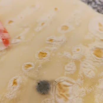 UNO Lavaş Ekmeği Küflü Çıktı