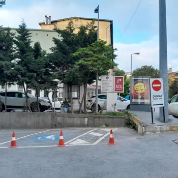 İstanbul Üniversitesi Tıp Fakültesi Otoparkta Engelli Aracı Yeri İşgali