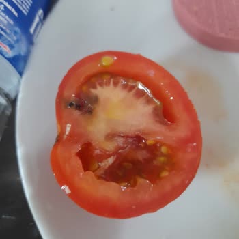 Kredi Ve Yurtlar Kurumu Yemekhanesi Hijyenden Bihaber