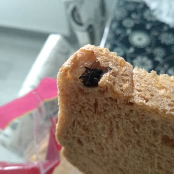 BİM Ekmecik Çavdarlı Ekmekten Kocaman Sinek Çıktı