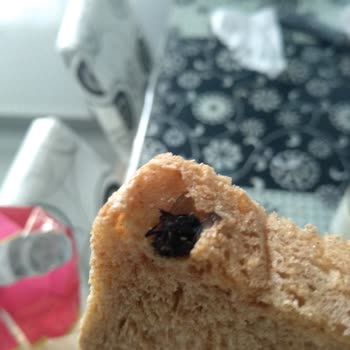 BİM Ekmecik Çavdarlı Ekmekten Kocaman Sinek Çıktı