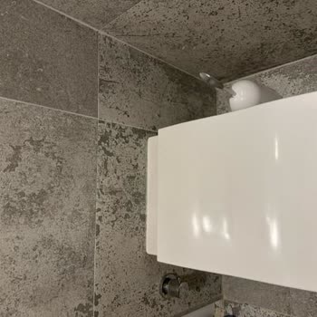 Bien Seramik Bien Lotus Duroplast Klozet Kapağı