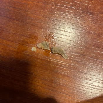 Urla Bamboo Burger King Gıda Şikayeti