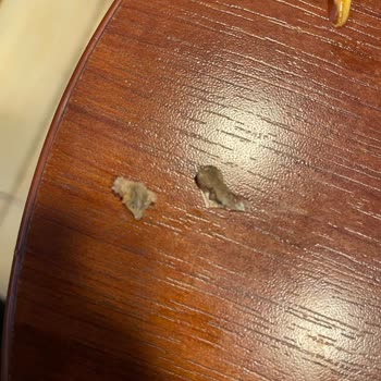 Urla Bamboo Burger King Gıda Şikayeti