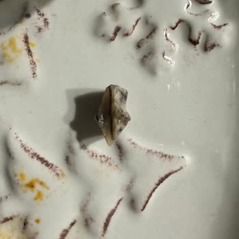 Superfresh Donuk Soğan İçerisindeki Madde