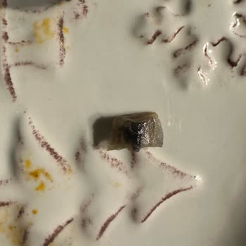 Superfresh Donuk Soğan İçerisindeki Madde