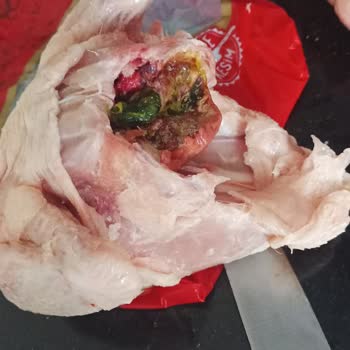 BİM Tavuk İçinden Yeşil Bir Şey Çıktı, İçi Temizlenmedi