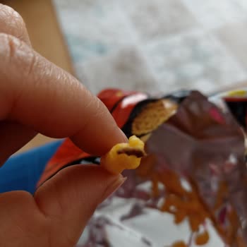 Çerezza Sinema Peynir Soğan Cipsinde Tüylü Böcek Çıktı