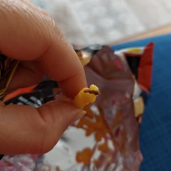 Çerezza Sinema Peynir Soğan Cipsinde Tüylü Böcek Çıktı