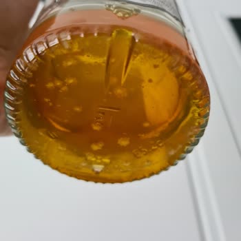 Anavarza Bal Beyaz Beyaz Küflendi