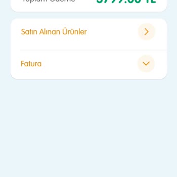 Joie Bebek Arabası Sorunu