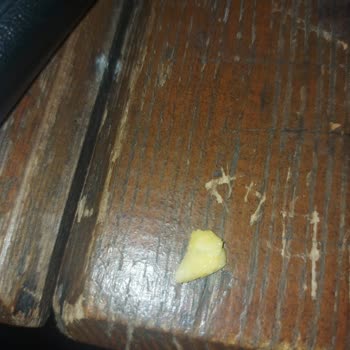 Magnum Dondurma İçinde Farklı Cisim