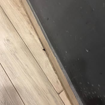 Varil Çorba Hijyensiz Ve Tatsızlıklar