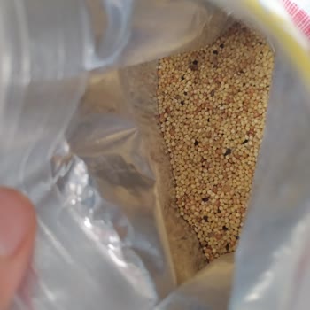 Quik Kabuksuz Yem Paketi Neredeyse Yarısı Kabuklu Çıktı