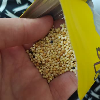 Quik Kabuksuz Yem Paketi Neredeyse Yarısı Kabuklu Çıktı