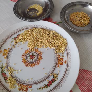 Quik Kabuksuz Yem Paketi Neredeyse Yarısı Kabuklu Çıktı