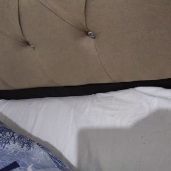 Baza Yatak Dünyası Yanlış Başlık Ve Davranış Biçimleri